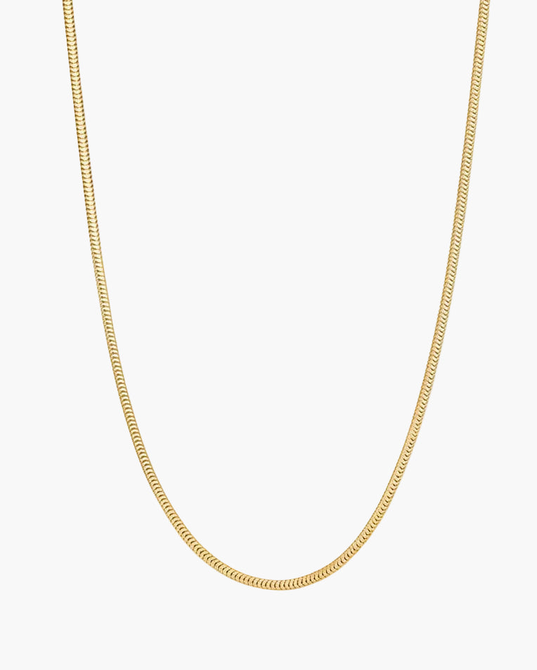 Gold dainty snake chain necklace on a white background