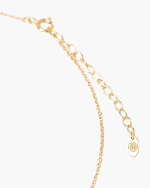 Gold chain necklace  on a white background